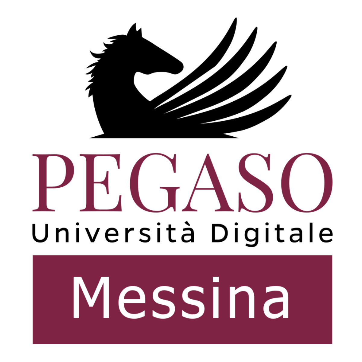 unipegaso messina